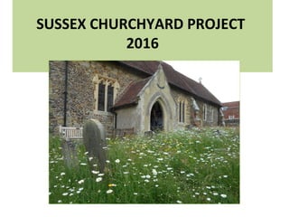 SUSSEX CHURCHYARD PROJECT
2016
 