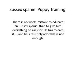 Sussex spaniel Puppy Training

 There is no worse mistake to educate
    an Sussex spaniel than to give him
 everything he asks for. He has to earn
 it ... and be irresistibly adorable is not
                   enough.
 