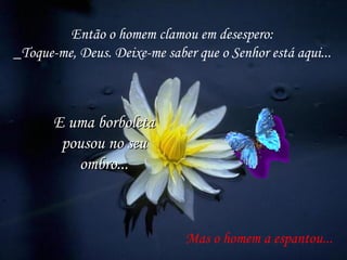 Então o homem clamou em desespero: _Toque-me, Deus. Deixe-me saber que o Senhor está aqui... Mas o homem a espantou... E uma borboleta pousou no seu ombro... 
