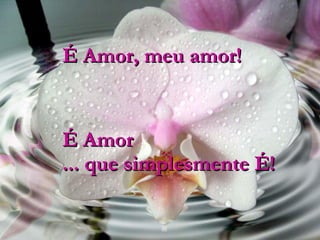 É Amor, meu amor! É Amor ... que simplesmente É! 