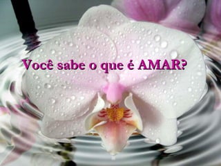 Você sabe o que é AMAR?   