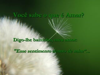 Você sabe o que é Amar? Digo-lhe baixinho, meu amor: "Esse sentimento dentro de mim”... 