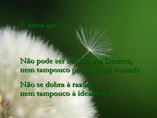 É amor que... Não pode ser banido por Decreto, nem tampouco por força de vontade Não se dobra à razão, nem tampouco à idealização...  