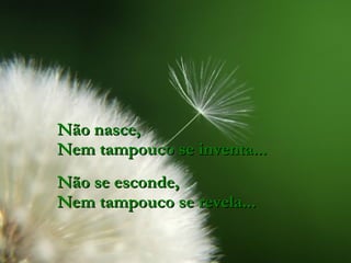 Não nasce, Nem tampouco se inventa... Não se esconde, Nem tampouco se revela... 