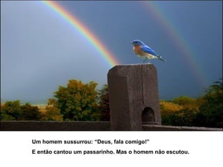 Um homem sussurrou: “Deus, fala comigo!”
E então cantou um passarinho. Mas o homem não escutou.

 