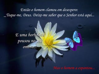 Então o homem clamou em desespero:
_Toque-me, Deus. Deixe-me saber que o Senhor está aqui...
Mas o homem a espantou...
E uma borboletaE uma borboleta
pousou no seupousou no seu
ombro...ombro...
 