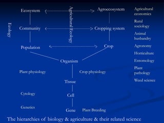 Ecosystem Agroecosystem
Community Cropping system
Population Crop
Organism
Tissue
Cell
Gene
AgriculturalEcology
Ecology
Crop physiology
Plant Breeding
Plant physiology
Cytology
Genetics
Agricultural
economics
Rural
sociology
Animal
husbandry
Agronomy
Horticulture
Entomology
Plant
pathology
Weed science
The hierarchies of biology & agriculture & their related science
 