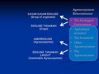 DASAR-DASAR EKOLOGI
(Group of organisms)
EKOLOGI TANAMAN
(Crops)
AGROEKOLOGI
(Agroecosystem)
EKOLOGI TANAMAN
LANJUT
(Sustainable Agroecosystem)
• The Ecological
Environment
• Agricultural
resources
• The household
• Other
Agroecosystems
• The
Agroecosystem
Agroecosystem
Determinants:
 