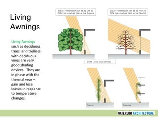 Living Awnings
such as deciduous
trees and trellises
with deciduous
vines are very
good shading
devices. They are
in phase with the
thermal year –
gain and lose
leaves in response
to temperature
changes.
Living
Awnings
 