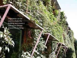 Vegetation can be
used to shade the
building and create a
cool micro climate
around the building.
 