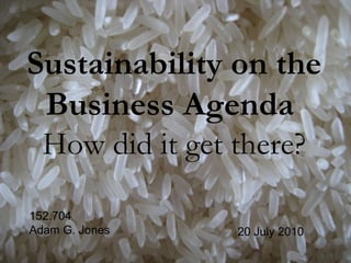 Sustainability on the Business Agenda   How did it get there? 152.704 Adam G. Jones 20 July 2010 