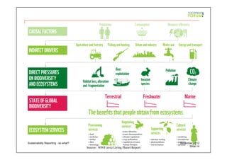 PwC Slide 14
November 2012Sustainability Reporting - so what?
Source: WWF 2012 Living Planet Report
 