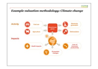 Climate
change
Example valuation methodology: Climate change
Impacts
Activity
Greenhouse
gases
Ecosystem
changes
Fuel use
Agriculture
Electricity
generation
Deforestation
Loss of
economic
productivity
Health impacts
 