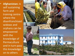 Afghanistan:  A self sustaining farm and training centre where the disenfranchised widows and orphans can be empowered with the knowledge of Permaculture and in turn pass this knowledge on to others 