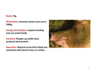 Name:  Pig. Dimensions,  mammal various sizes up to 100kg. Energy consumption:  requires feeding (can use waste food). Function:  Ploughs up arable land, produces food protein. Operation:  Requires to be left in field and contained with electric fence or similar. 