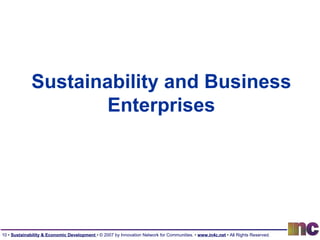 Sustainability and Business Enterprises 