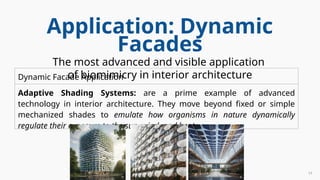 Sustainability, Biomimicry, & Environmental Solutions.pptx