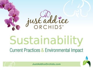 Sustainability
Current Practices & Environmental Impact

            JustAddIceOrchids.com
 