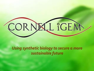 Using synthetic biology to secure a more
sustainable future
 