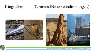 Sustainability Concepts in Civil Engineering (18CV654)
Kingfishers Termites (No air conditioning…)
 