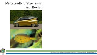 Sustainability Concepts in Civil Engineering (18CV654)
Mercedes-Benz’s bionic car
and Boxfish
 