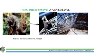 Sustainability Concepts in Civil Engineering (18CV654)
Form/ process mimicry at ORGANISM LEVEL
Waterloo International Terminal , London
 