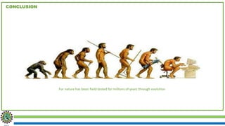 CONCLUSION
For nature has been field-tested for millions of years through evolution
 