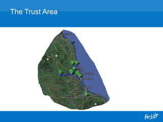 The Trust Area
 