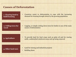 Causes of Deforestation
1. Clearing land to
build housing
2. Felling trees for
wood
4. Other land uses
•  Countries resort to deforestation to cope with the increasing
demand for housing brought about by the growing population
•  Logging, or simply cutting down trees for timbre is one of the main
causes of deforestation
3. Agriculture
•  To provide land for food crops such as palm oil and for rearing
cattle, undisturbed rainforest areas end up being removed
•  Land for mining and industrial projects
•  Building dams
 