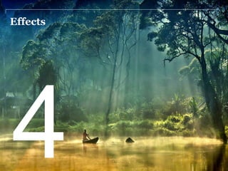 Effects
4
 