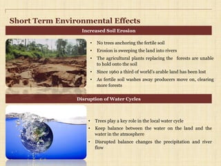 Short Term Environmental Effects
•  No trees anchoring the fertile soil
•  Erosion is sweeping the land into rivers
•  The agricultural plants replacing the forests are unable
to hold onto the soil
•  Since 1960 a third of world’s arable land has been lost
•  As fertile soil washes away producers move on, clearing
more forests
•  Trees play a key role in the local water cycle
•  Keep balance between the water on the land and the
water in the atmosphere
•  Disrupted balance changes the precipitation and river
flow
Increased Soil Erosion
Disruption of Water Cycles
 