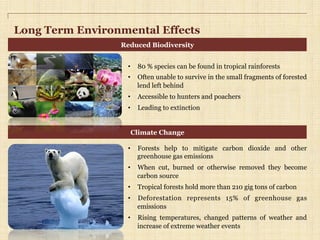 Long Term Environmental Effects
•  80 % species can be found in tropical rainforests
•  Often unable to survive in the small fragments of forested
lend left behind
•  Accessible to hunters and poachers
•  Leading to extinction
•  Forests help to mitigate carbon dioxide and other
greenhouse gas emissions
•  When cut, burned or otherwise removed they become
carbon source
•  Tropical forests hold more than 210 gig tons of carbon
•  Deforestation represents 15% of greenhouse gas
emissions
•  Rising temperatures, changed patterns of weather and
increase of extreme weather events
Reduced Biodiversity
Climate Change
 