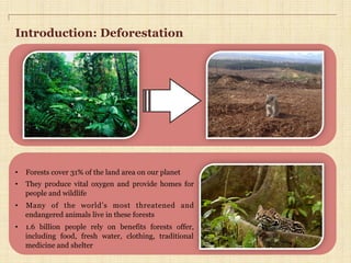 Introduction: Deforestation
•  Forests cover 31% of the land area on our planet
•  They produce vital oxygen and provide homes for
people and wildlife
•  Many of the world’s most threatened and
endangered animals live in these forests
•  1.6 billion people rely on benefits forests offer,
including food, fresh water, clothing, traditional
medicine and shelter
 