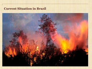 Current Situation in Brazil
h"p://www.youtube.com/watch?v=rNx51WqBBgM	
  
 