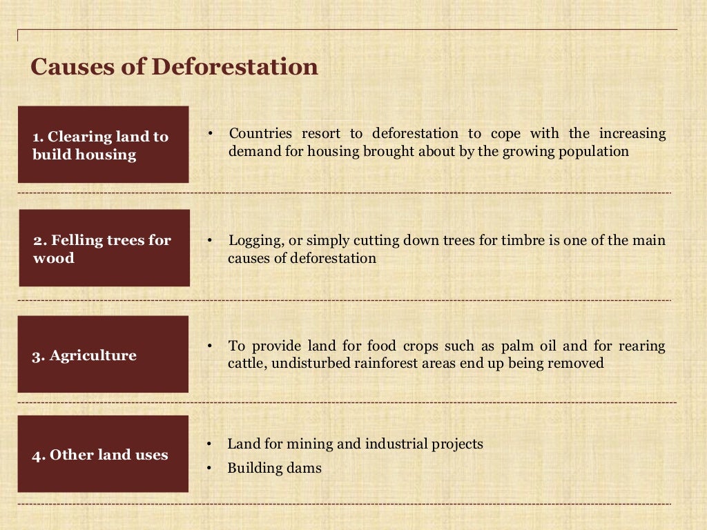 Deforestation Causes, Effects and Solutions