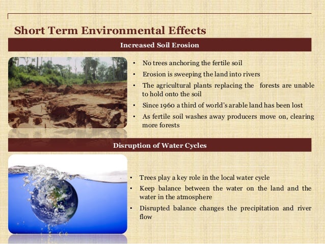 define the causes and hazards of deforestation All disasters are hence the result of human failure to introduce appropriate disaster management measures hazards are that causes a tsunami deforestation. define the causes and hazards of deforestation All disasters are hence the result of human failure to introduce appropriate disaster management measures hazards are that causes a tsunami deforestation.
