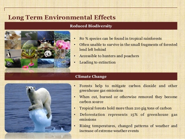 long essay on environmental pollution Long essay on environmental pollution - writing a custom term paper is work through a lot of steps commit your report to qualified scholars engaged in the company only hq academic services provided by top specialists. long essay on environmental pollution Long essay on environmental pollution - writing a custom term paper is work through a lot of steps commit your report to qualified scholars engaged in the company only hq academic services provided by top specialists.