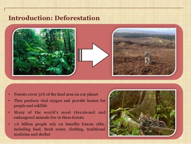 Deforestation speech introduction