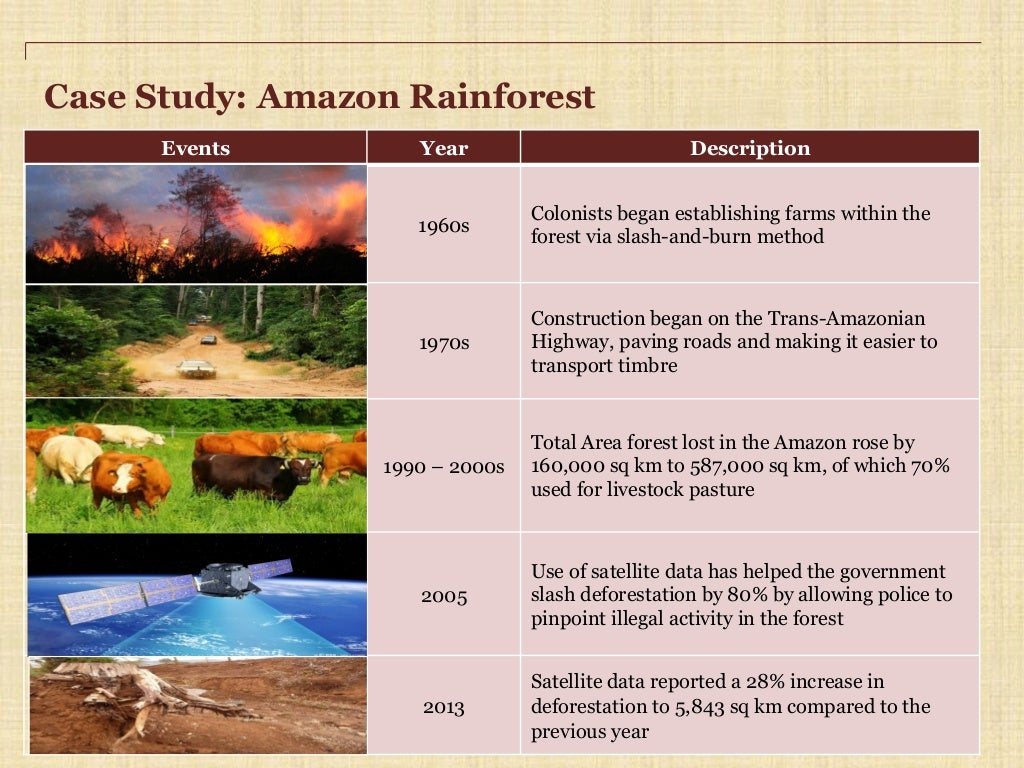 Deforestation Causes, Effects and Solutions