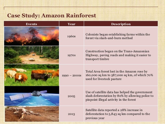 deforestation of the amazon case study