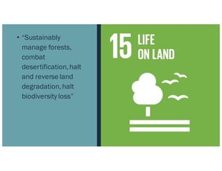 • “Sustainably
manage forests,
combat
desertification,halt
and reverse land
degradation,halt
biodiversity loss”
 