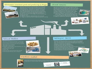 Sustainability Growth: Ampol Food Processing | PDF