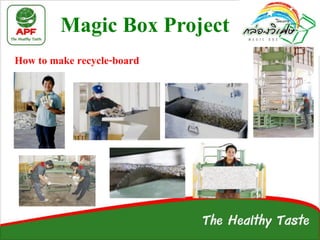 Magic Box Process Sustainability Growth: Ampol Food Processing | PDF