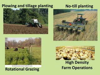 Plowing and tillage planting

Rotational Grazing

No-till planting

High Density
Farm Operations

 