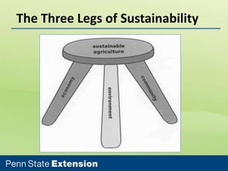 The Three Legs of Sustainability

 