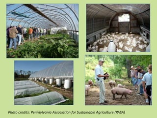 Photo credits: Pennsylvania Association for Sustainable Agriculture (PASA)

 