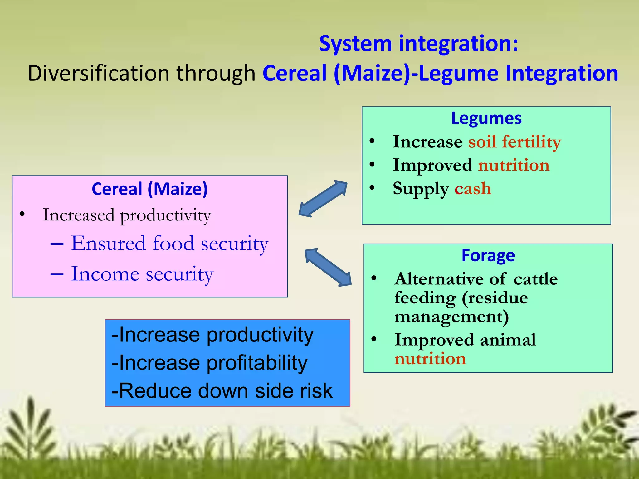 Sustainability in cropping system | PPTX