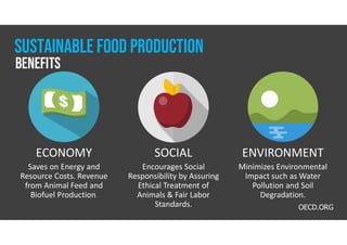 Sustainability in Food Systems | PDF
