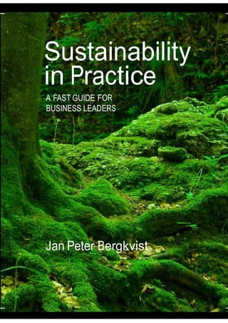 Sustainability
         in Practice
          A FAST GUIDE FOR
          BUSINESS LEADERS




          Jan Peter Bergkvist

Copyright © by Jan Peter Bergkvist 2009, SleepWell AB 2009
 