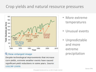 ©Copyright Kennedy and Coe, LLC 2014. All rights reserved. 
Crop yields and natural resource pressures 
• 
More extreme temperatures 
• 
Unusual events 
• 
Unpredictable and more extreme precipitation 
Source: EPA  